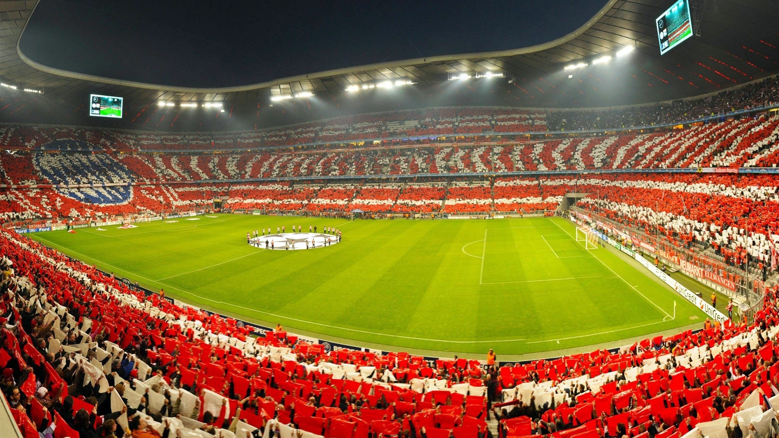 综合格斗最新战报！日本队迎战葡萄牙队，老将回归赛场，再度燃起斗志